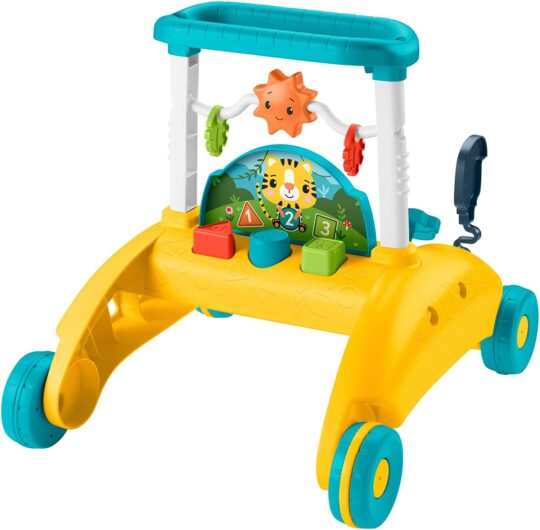 Andador Primeiros Passos Fisher-Price