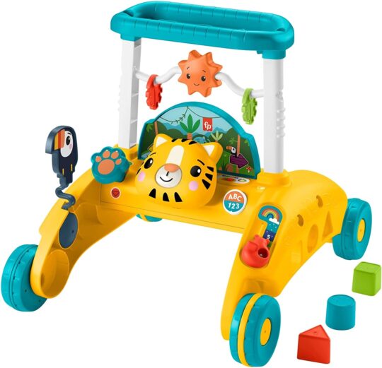 Andador Primeiros Passos Fisher-Price