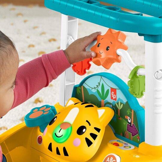 Andador Primeiros Passos Fisher-Price