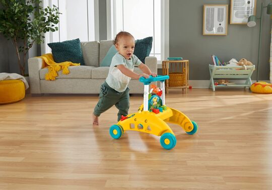 Andador Primeiros Passos Fisher-Price