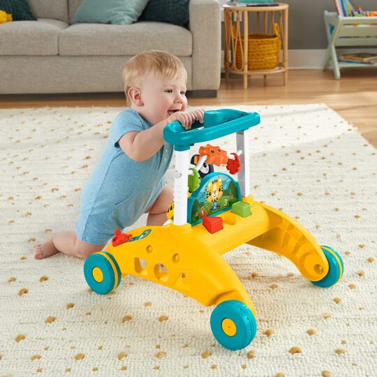 Andador Primeiros Passos Fisher-Price